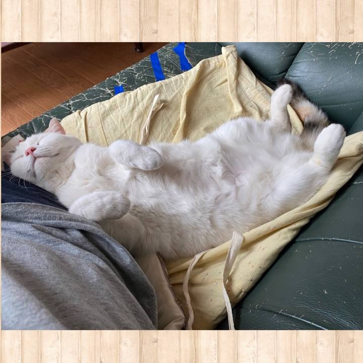 1093498a 8fa1 4b35 a4e6 81c64498dcde 1621164485733