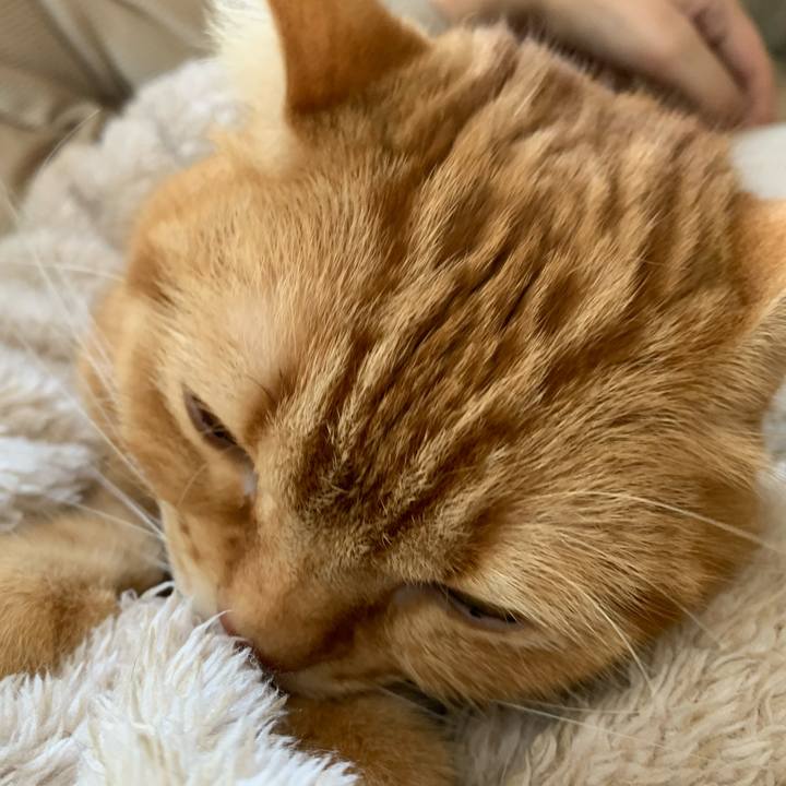 10934e1d 8552 4467 92af 11e32bf5e7bc 1639350271217