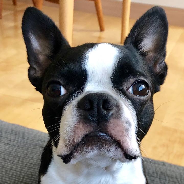 1093796b d00b 4b4a a3a6 67a396bbbff8 1564881843550