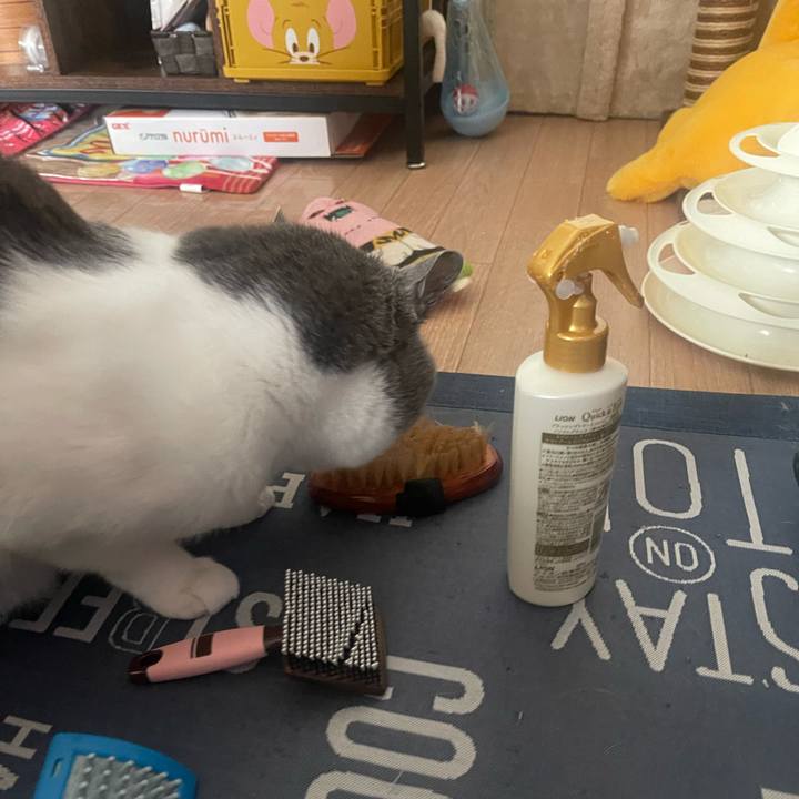 1093867b 8f79 4b65 9124 e4d3b5ef9cd5 1703988776875