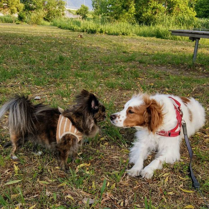 10939909 b8c6 4764 aa45 0baaa54882fd 1558783832117