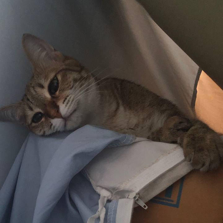 10941a46 26fa 4dad ad6c 4ca890f10952 1625994143592