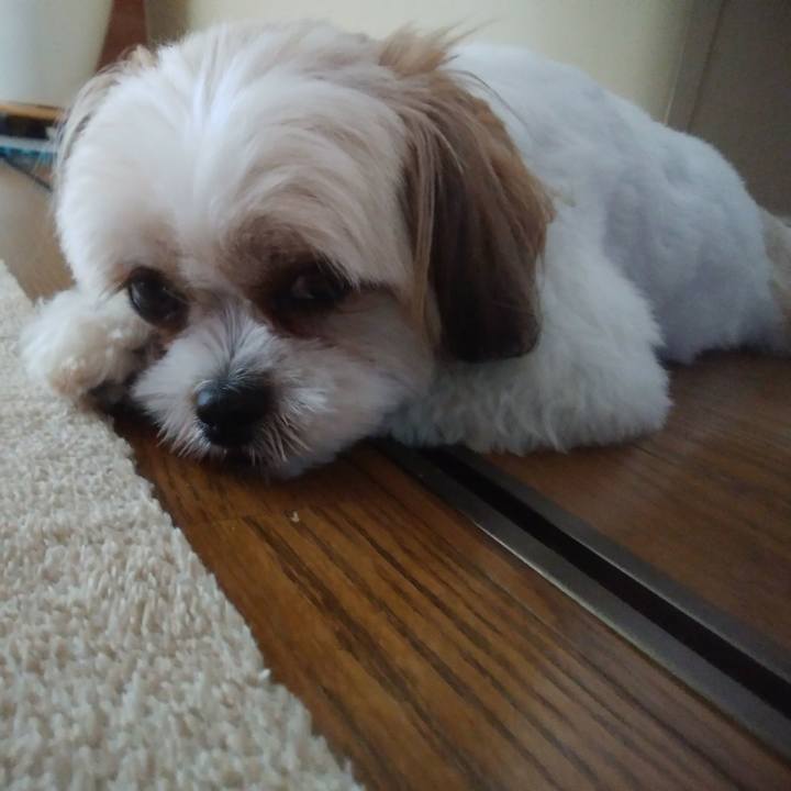 10941c0d 854e 4b22 a78c 825be907099b 1530322449734