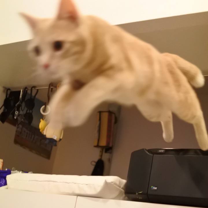 1094322b 9857 41c7 9c88 f66e223408d1 1557501570064