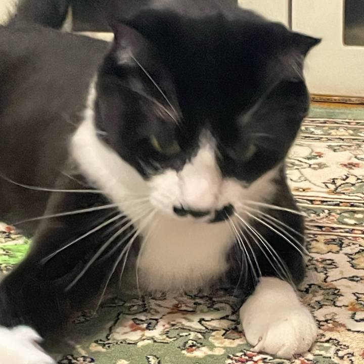 1094557b 215c 481c b565 e36ebca78359 1681477057960