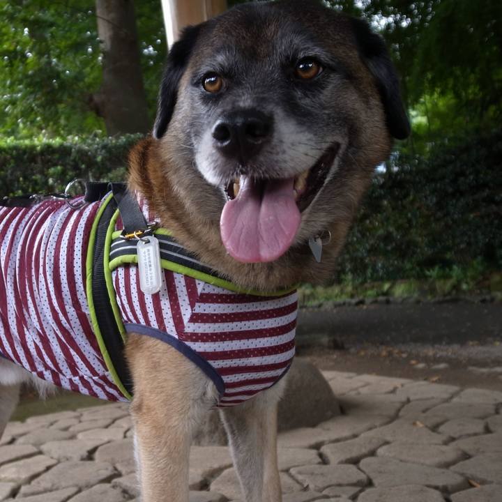 109458cc 63e0 47cf 9858 d8f3904a8701 1582705522434