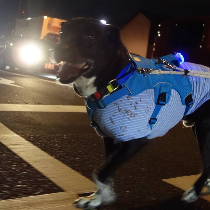 10946e77 1ae7 4762 ad58 098856fe15af 1669979153087