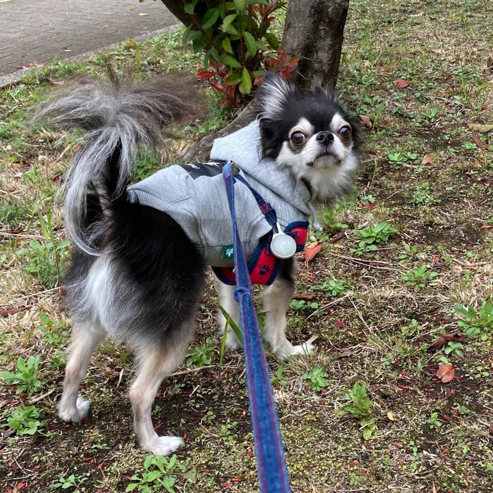 10948a84 2b97 478c 8850 9269f1489287 1712400616085