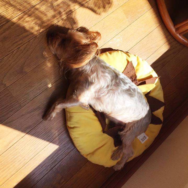 1094a437 9ab0 4dcb bec8 fcd4fc8e1abc 1536895250338