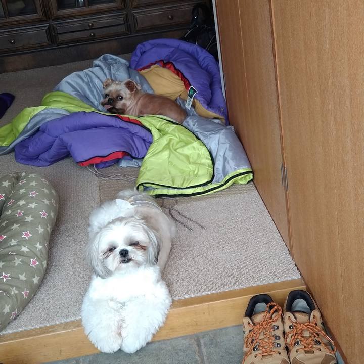 1094ab70 6edb 45eb 9471 8657cb58c825 1619839805535