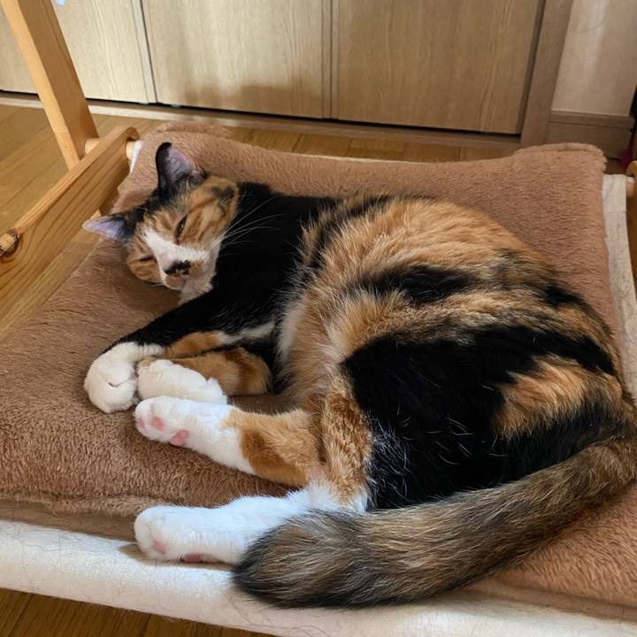 1094b2c9 5590 4a87 b18a 2432f8693326 1591498192155