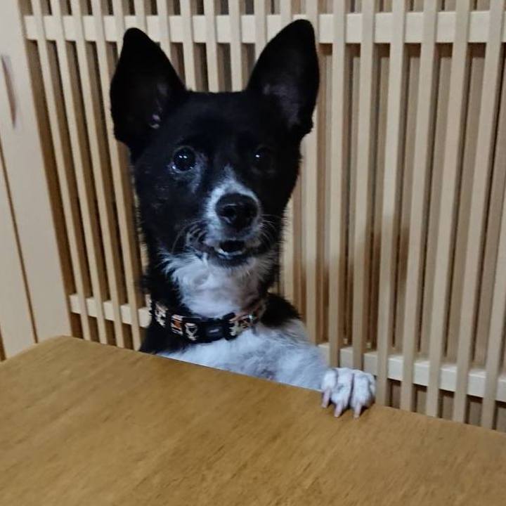 1094dd0e a0eb 46e8 99bc ce0138affd42 1571144143683