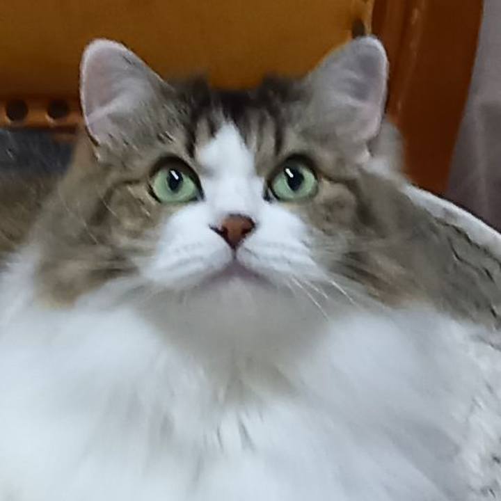 10954350 b432 4e35 8d3e 57c82e3e79d4 1661553346657