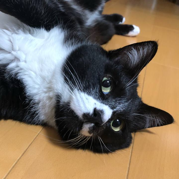 10954450 e84e 4bd9 a765 79decc9fb9c3 1656646592376