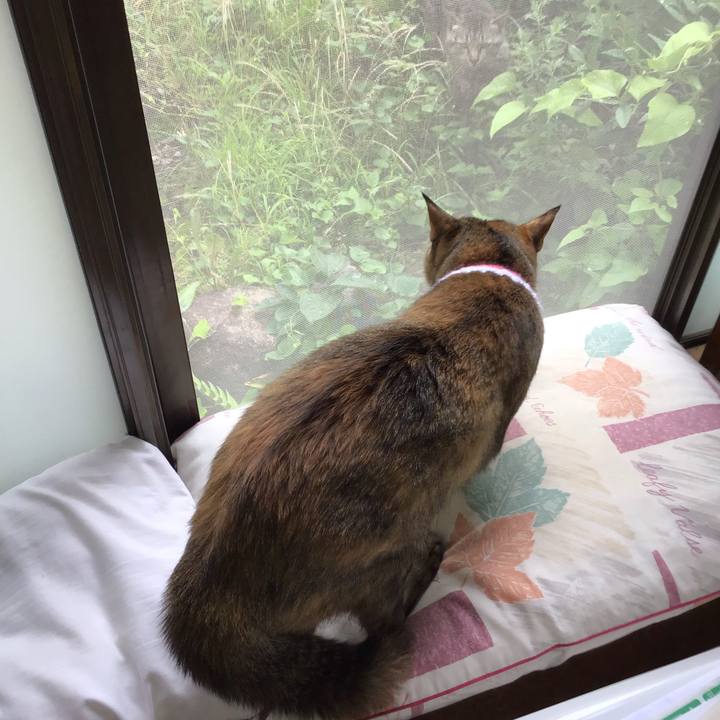 10954a9d e149 4174 a30c e93fd14dfe32 1593055411849