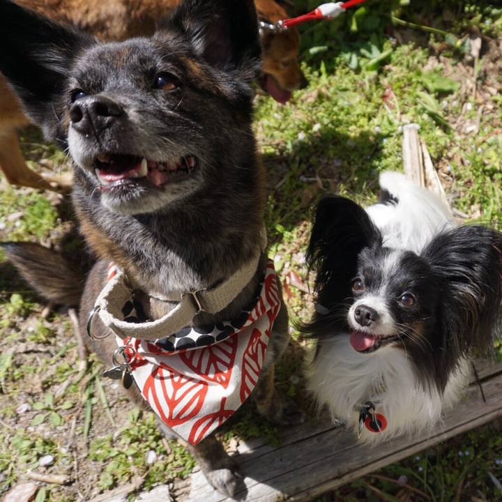 10955d31 0261 4fb2 9328 7ee493aac8f1 1554907428764