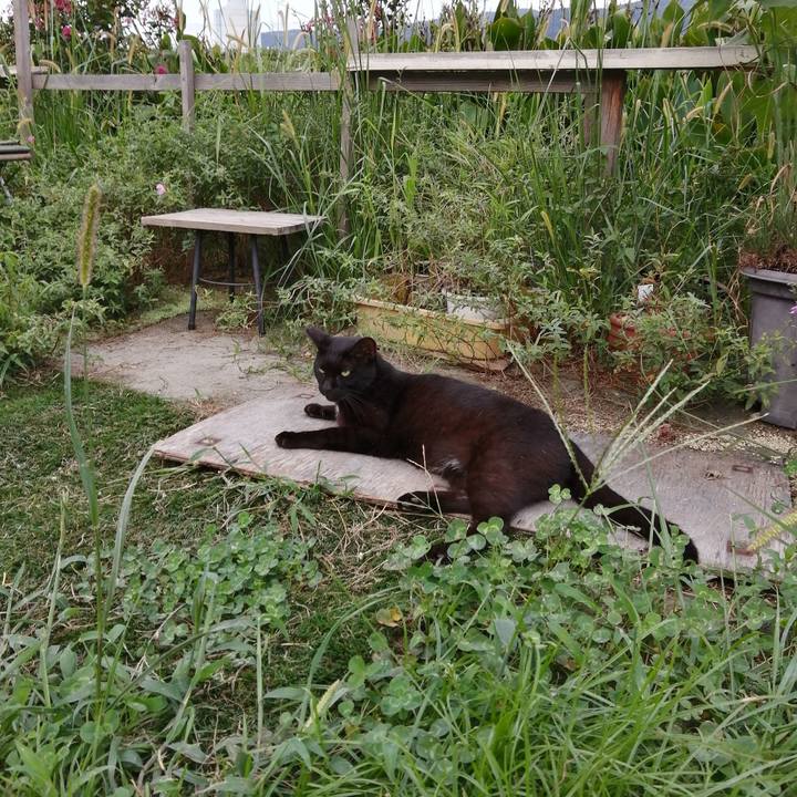 1095635c eead 421c a040 61ea275312e9 1599904665467