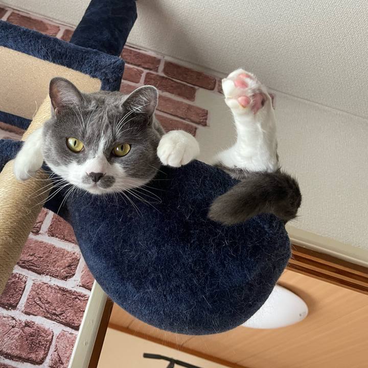 1095bdf6 48e6 4241 a47f 364036f47bac 1657765970192