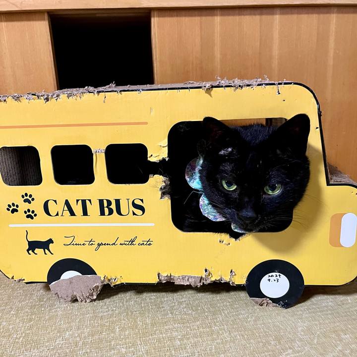 1095e6d2 90ed 493c 947f 4ce29b310f22 1736646992921