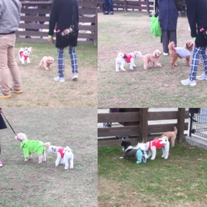 109622d9 acbf 4cd2 bb24 4110e7c2b704 1511349847303