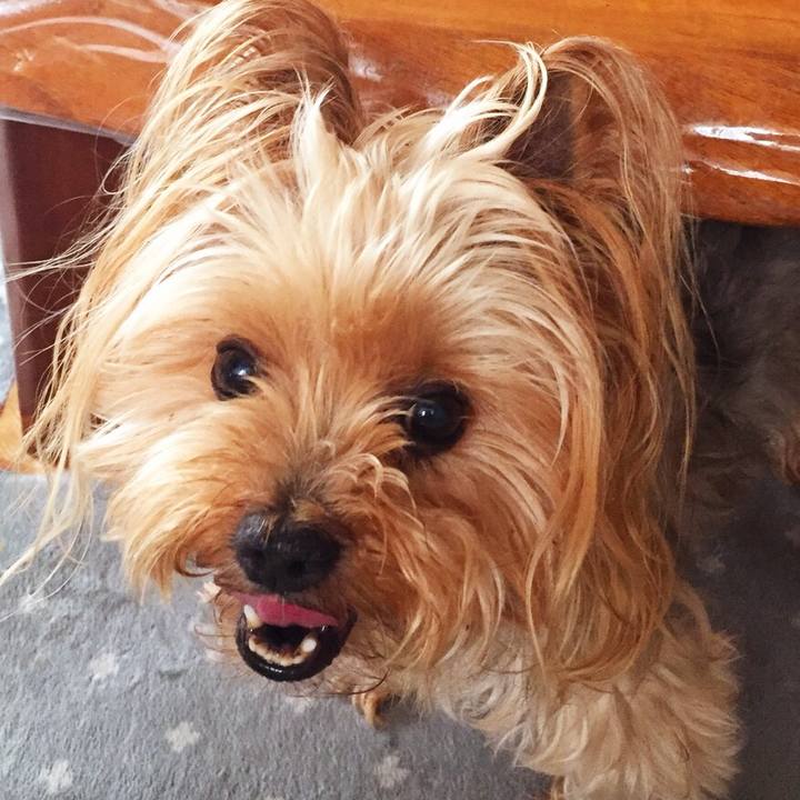 10963e30 2390 416d 90fb c2a94badaa5d 1531999066252