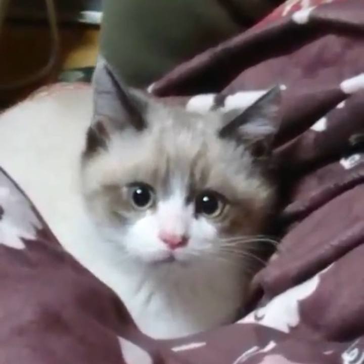 109693ea d1a7 4b98 a88b 613da11d46b5 1759232406557