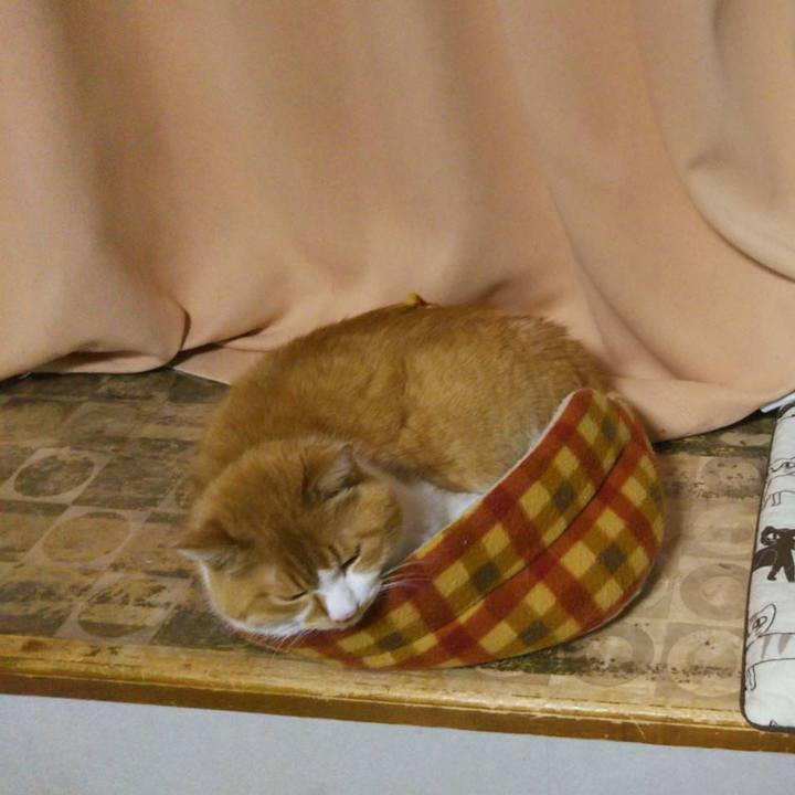 1096a0d9 804f 4854 995a c63a1fe93ed2 1526801304666