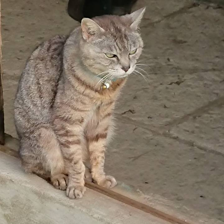 1096f747 dd6e 47ef b524 7d2ac2f40cfa 1563933600010