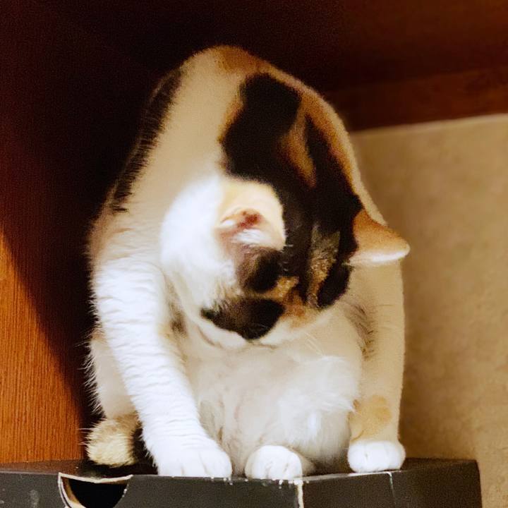 1096fe66 3d7c 4756 b494 4f6233681e95 1554861597001