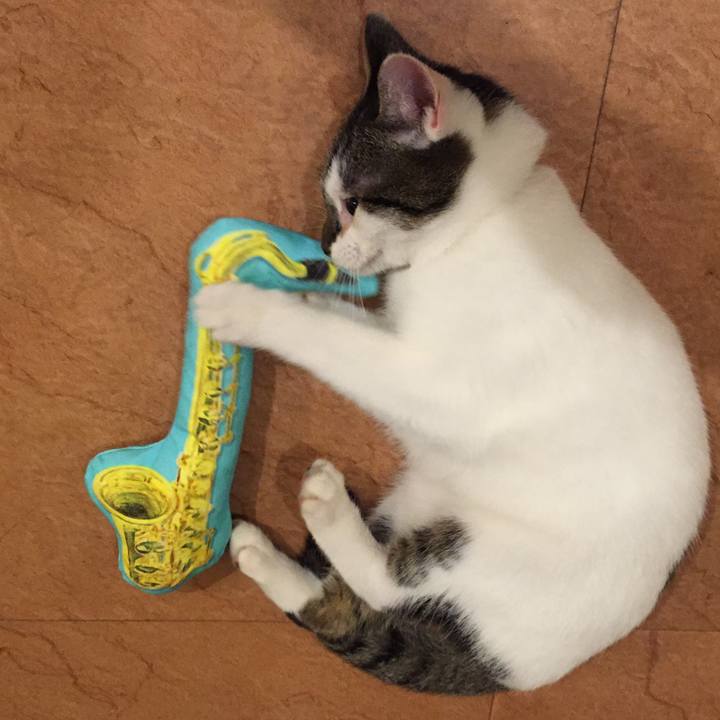 10971c51 23f0 46ac aa91 bfe0d6f3dc02 1541415857332