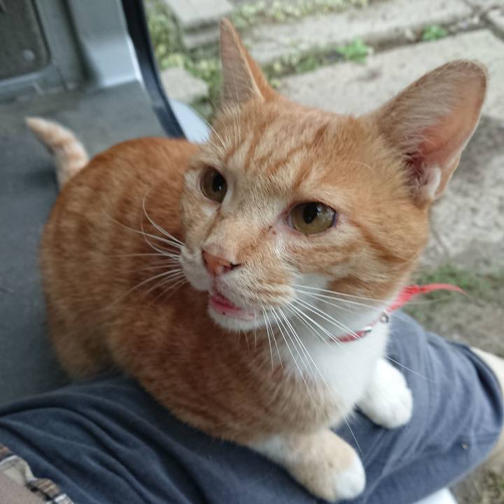 10975aae 61ea 4d39 b7a0 d5a9fbd0adaf 1569101633287