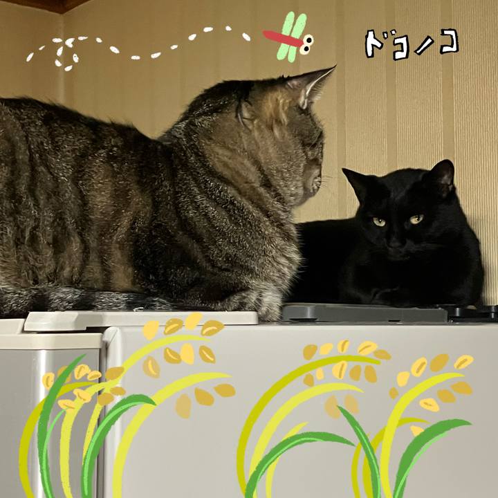 10977d55 1d54 4f89 a907 1763d46e355b 1761656595777