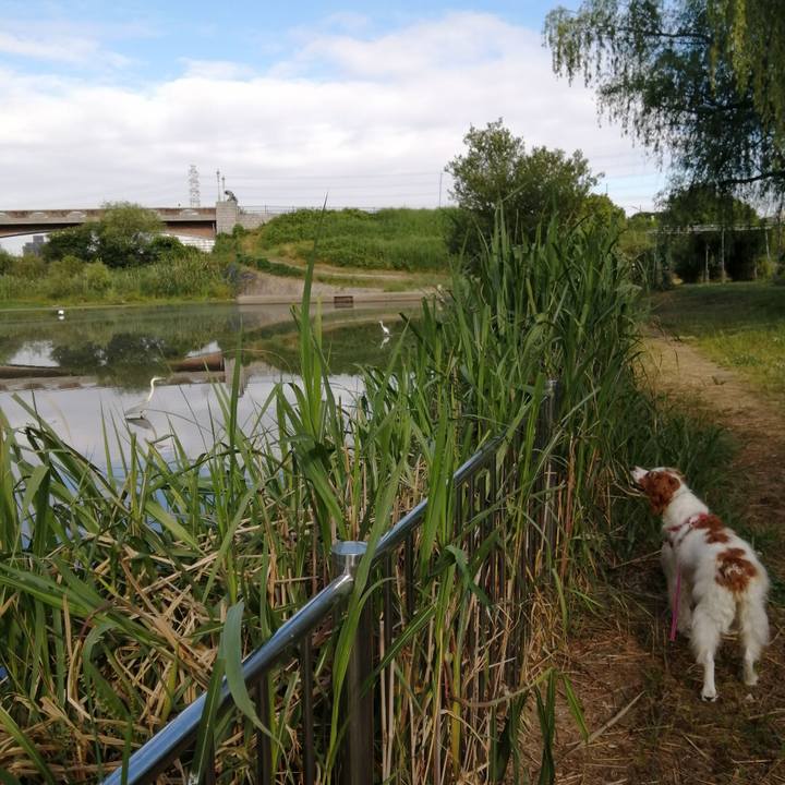 1097de13 8eeb 4839 900d e0fd56e1d994 1591746100917