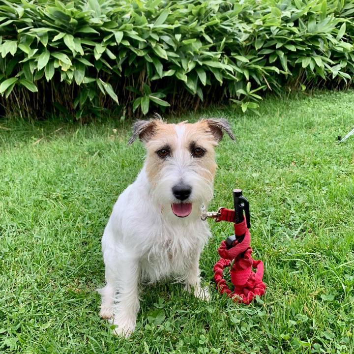 1097ed98 31cc 4fa9 8aaf 562e9a197050 1663072922910