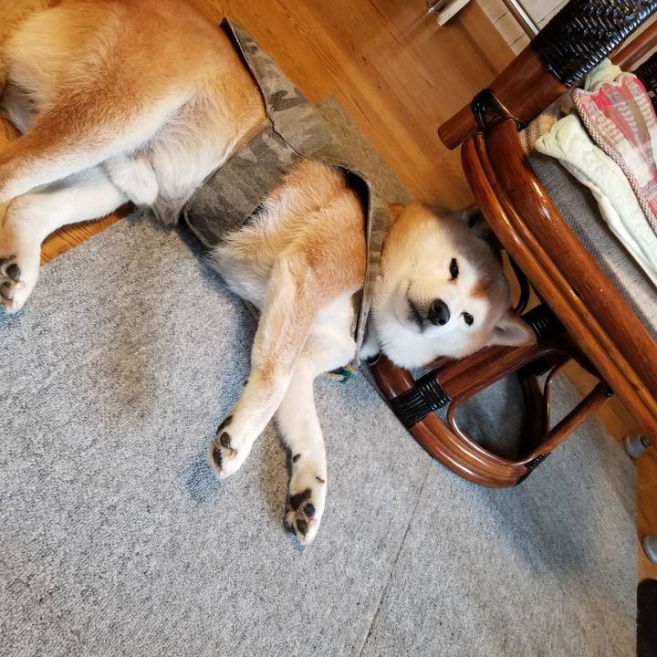 10984e22 24ab 4724 a42e 26c0abcfe229 1644793744644