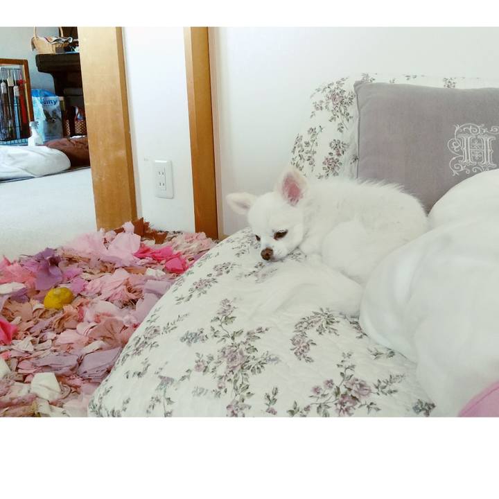 1098aae9 6f12 4457 ae2a be99fffbc315 1626595860738