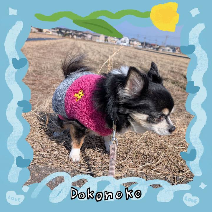 1098bff6 2398 43da bde4 e24b0cf8c5a2 1771934655186