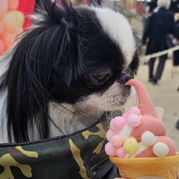 1098c07d 6e96 4e58 bebe e9709a28a05b 1729508398321