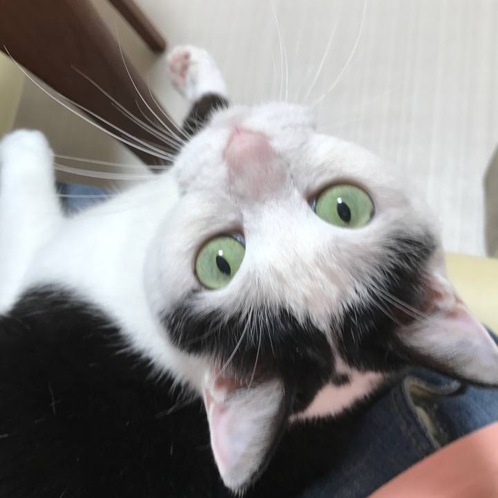 1098c0c8 6163 4372 a395 cbdb806d488c 1526562395422