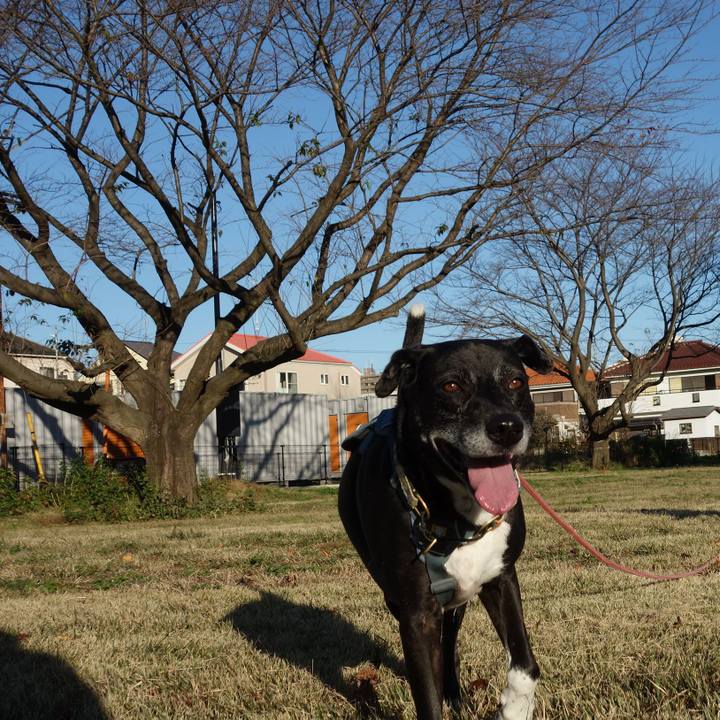 1098e5db cc80 4f1b 9dfb 104d85e6c9c8 1732495641603