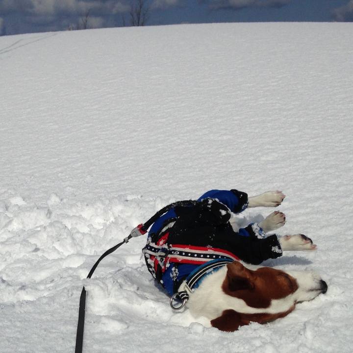 1098eaad 3e43 490b 8a61 beb1dee7d3a9 1524563891315