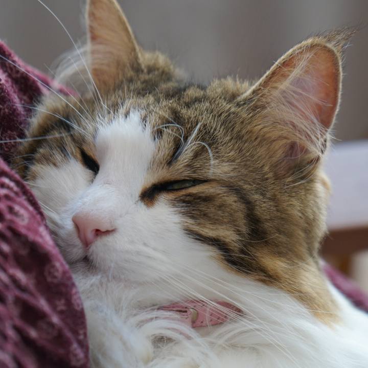 1099130f c231 4f6e a096 23929cb1e32d 1553439139721