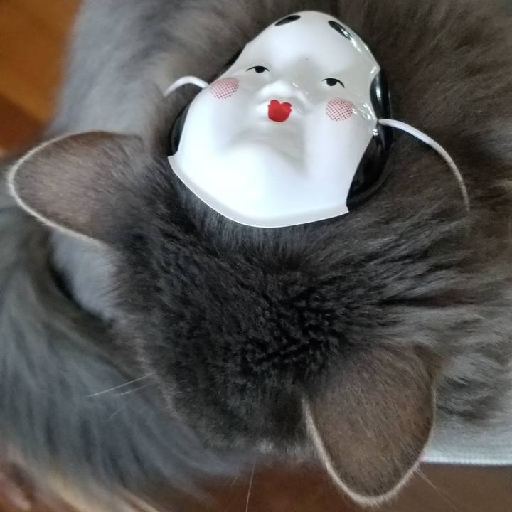 109936a2 bd5f 47ff ab41 2ce7e41dfe8f 1549195731827