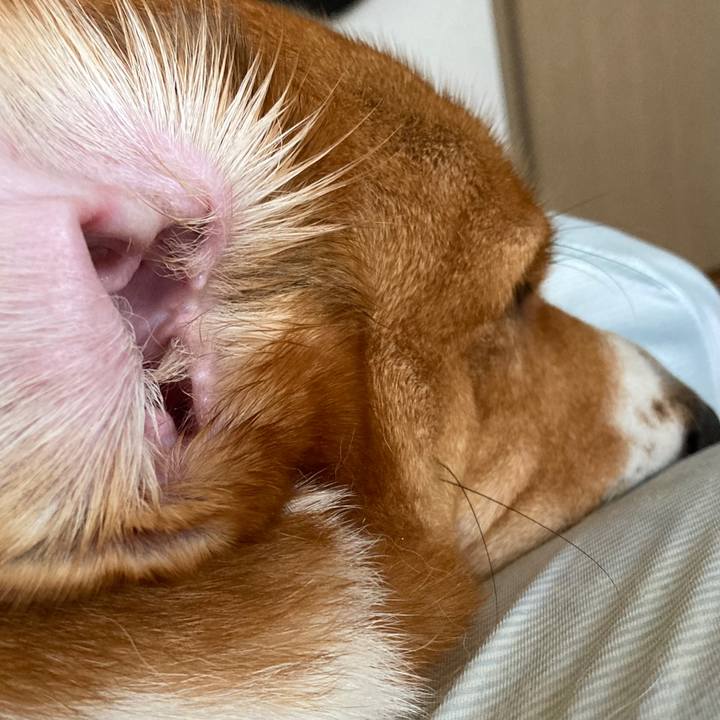 10993d45 ce38 4fe7 9d85 e636926b5957 1693008266575