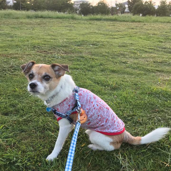 10995aa8 de85 4cec 877d 1db0dfc32985 1568757648857