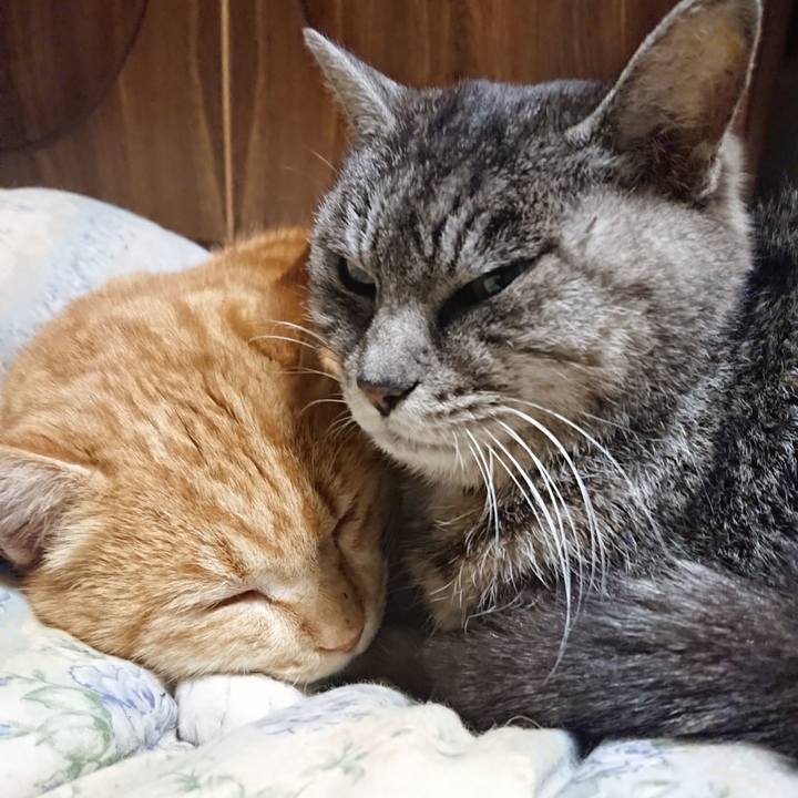 10997776 70ae 44a0 a909 5e917d79a08d 1579693836525