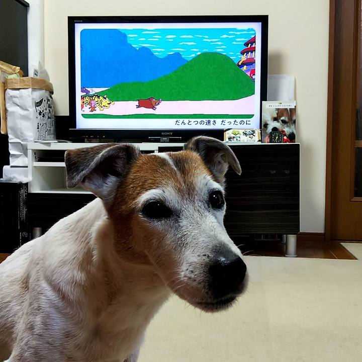 10997c83 c217 4d57 bf1f 733cf7ea771d 1547071690220