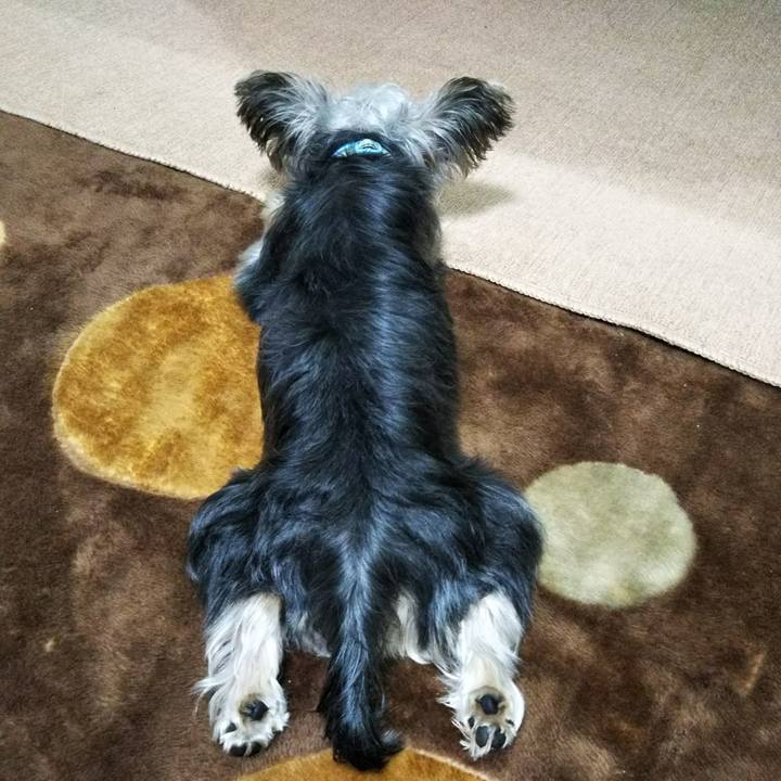 1099b673 6e1c 4d36 920e 2d85dbe97061 1538571512194