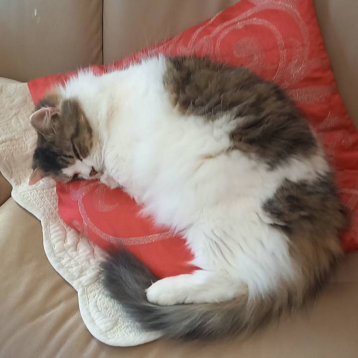 1099ee81 417d 4cea b98c 88c7de77d257 1641417842174