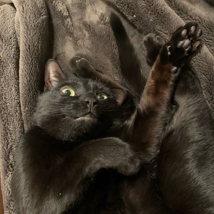 1099f94c cfb7 433d a811 5a6c7d2a5bc5 1582726673210